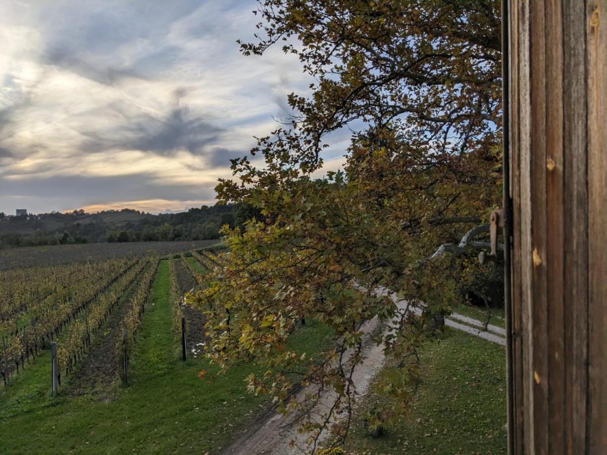 Castel San Mauro Gorizia Exterior foto